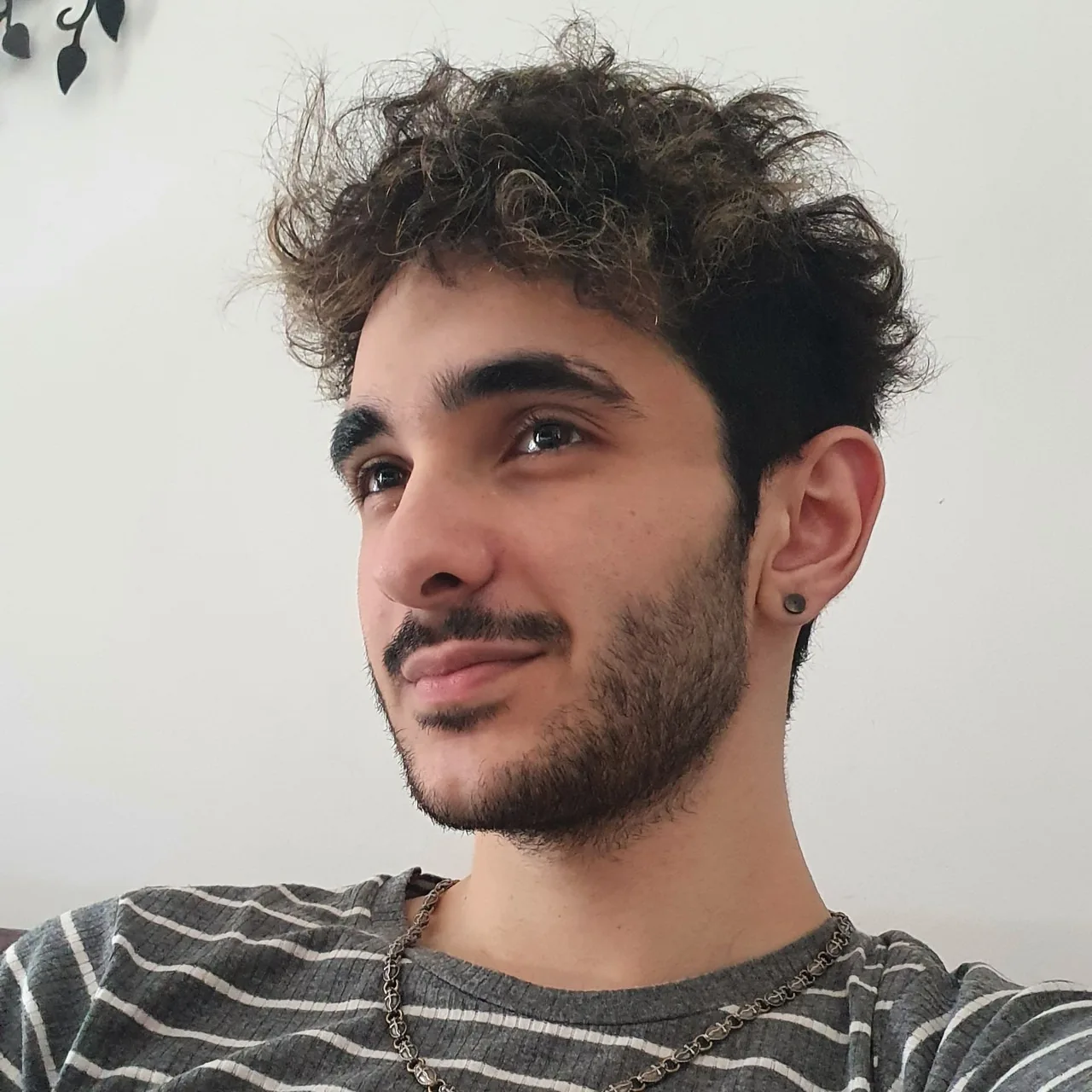 Dylan Piserchia
